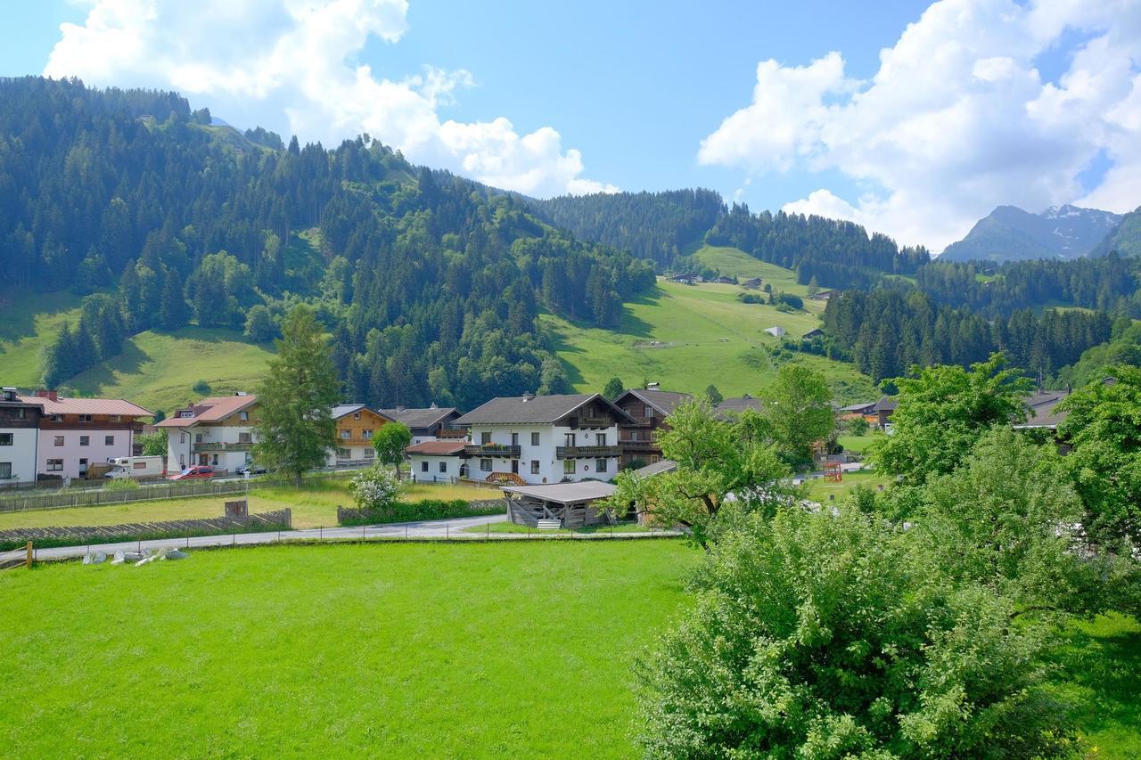 ホラースバッハ・イム・ピンツガウAlpin Penthouse Hollersbachアパートメント エクステリア 写真